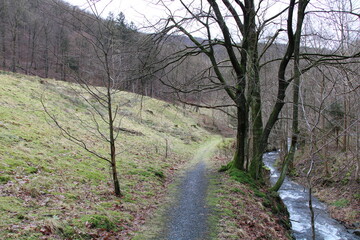 Harz Nationalpark (Harz Mountains National Park) | Rundweg um Lonau (Hiking trail around Lonau), Große Lonau river