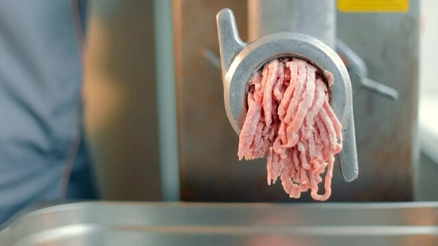Industrial minced meat in a large meat grinder. Creating minced meat.