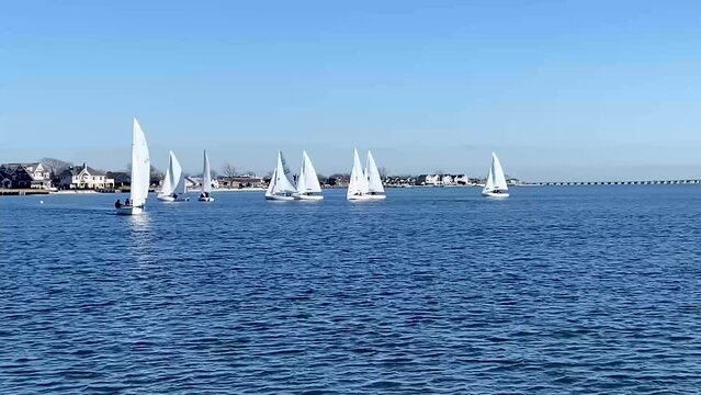 Many small sailboats competing in a winter regatta in the great south bay off the coats of Long Island in January 2022.