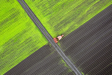 A tractor in a field renews arable land on a summer day