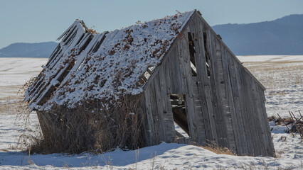 Old barns 