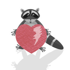 Surprised or confused raccoon with a huge heart in his hands. vector graphics.
