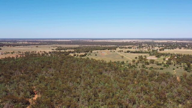 Gum-tree woods around Nyngan remote rural town on Barrier highway 4k.
