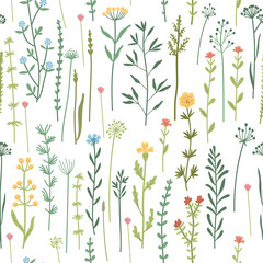 Seamless floral pattern with hand drawn plants, leaves, wild flowers. Perfect for fabric design, wallpaper, apparel. Vector illustration. Collection of wild meadow herbs, flowering flowers