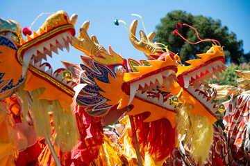 Typical Chinese dragon doll.
Worn by dancers in Chinese New Year celebration