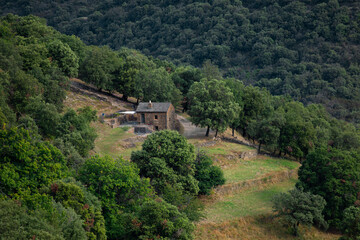 Mas de pierre, ferme au milieu des bois avec  ses cultures en terrasse sur le flanc d'une montagne sauvage. Cévennes France.