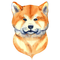Vector illustration of watercolor portrait of shiba inu dog