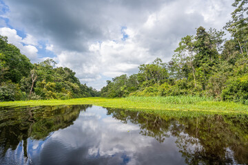 canoe trip on a river in the Amazon forest
