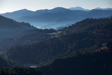 Vallée sauvage boisée dans le brume du soleil couchant dans le chaîne de montagne des Cévennes...