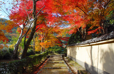 奥嵯峨の秋の紅葉　京都市嵯峨野