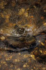 Flowing water over stone in riverbed