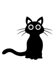 Niedliche schwarze Katze 