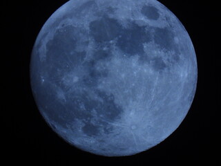 Full moon at night
Birds
Flover
