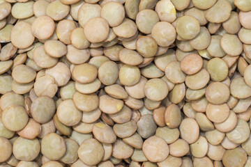 Pile of sturdy and flattened green lentil seeds. Oldest food crop. Healthy legumes food background