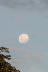 full moonrise in Rio de Janeiro.