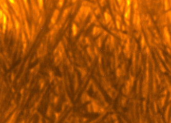 abstract texture background