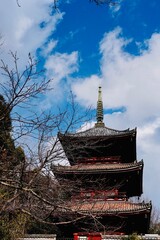 Obraz premium 尾道観光 お寺巡り