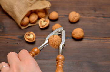 nutcracker in a female hand breaks a walnut