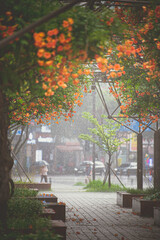 City park landscape in the rain with flowers blooming
