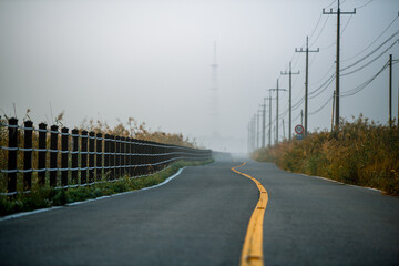 Quiet countryside road and power pole
