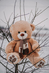 Teddy bear with heart