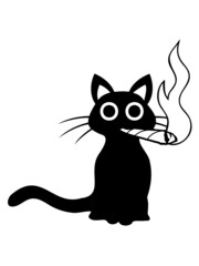Katze raucht Joint 