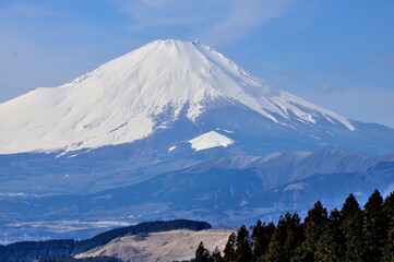 Fototapeta na wymiar 丹沢山地の高松山山頂から望む　雪化粧の富士山 