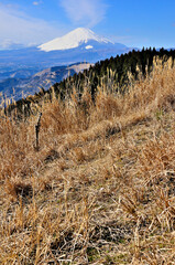 丹沢山地の高松山山頂から望む富士山
