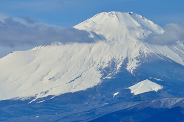 丹沢山地の高松山山頂から望む　雪化粧の富士山
