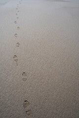 footprints on a beach of the Amazon river, Amazon, Peru