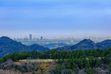 Fototapeta premium 横須賀の大楠山からの光景
