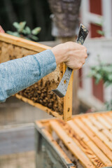 Beekeeper