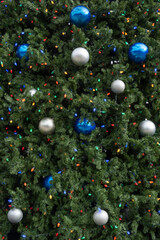 Obraz na płótnie Canvas Close-up of Christmas tree outdoors