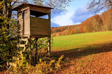 ein Jägerstand im Herbstlichen Wald