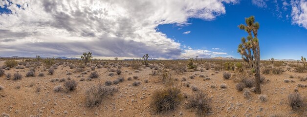 Panoramic image over Southern California desert during daytime © Aquarius