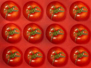 Tomato on colored paper. Greenhouse tomato on a red background. Bright  background.