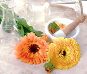 Alternative Medicine. Calendula flowers (Calendula officinalis) and a mortar with glass 