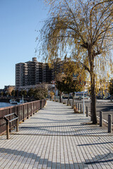 河口沿いの歩道と車道と街路樹