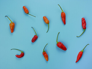 top view of red chili with blue background. suitable for seasoning and cooking concept