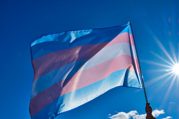 transgender flag in the wind - obrazy, fototapety, plakaty