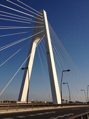 Fototapeta na wymiar 大きな吊り橋