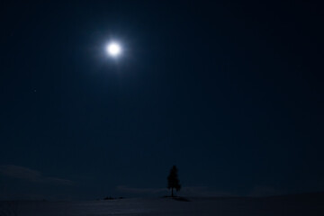 夜の雪原と満月
