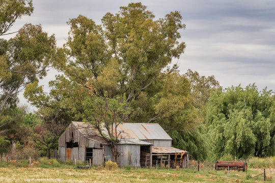 Rural setting with rustic old farm shed & equipment with tall trees surrounding