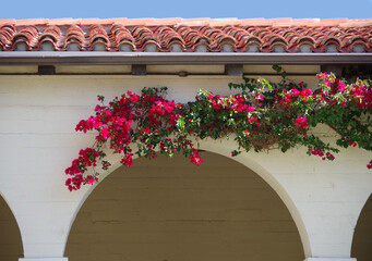 Bougainvillea growing over a Spanish style building with an arched walkway