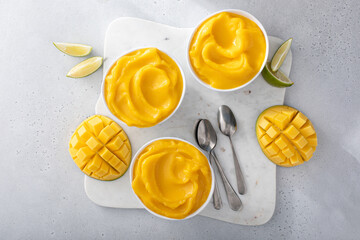 Mango ice cream or nice cream, blended frozen mango dessert - obrazy, fototapety, plakaty