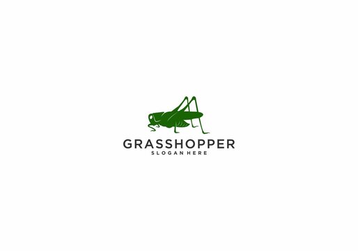 grasshoper logo template in white background