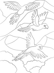 Coloring page. Three cute parrots blue macaw fly.