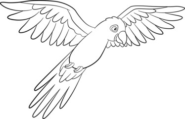 Coloring page. Cute parrot blue macaw flies and smiles.