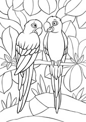 Coloring page. Two cute parrots blue macaw sits and smiles. They are in love.