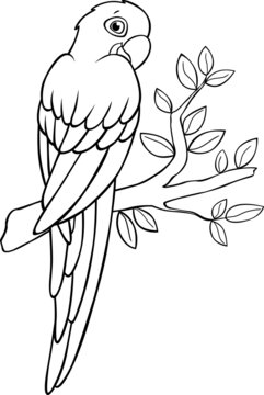 Coloring page. Cute parrot blue macaw sits and smiles.